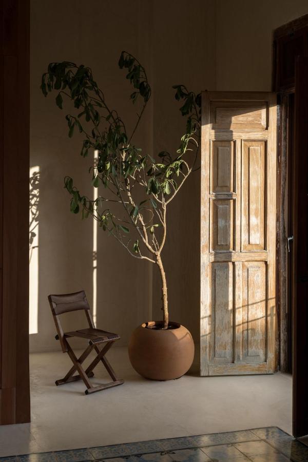 Narrativ Lofts - Numen - Stylish Hideaway Daire Campeche Dış mekan fotoğraf